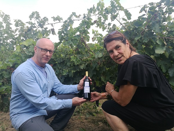 法國(guó)紅酒加盟品牌值得選嗎