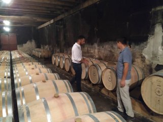 法國(guó)葡萄酒產(chǎn)區(qū)怎么樣