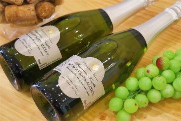 國產(chǎn)紅酒品牌排行